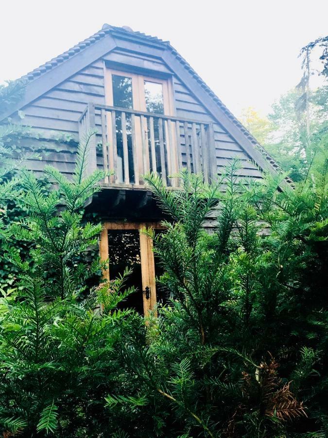 Hertford Barn Conversion エクステリア 写真
